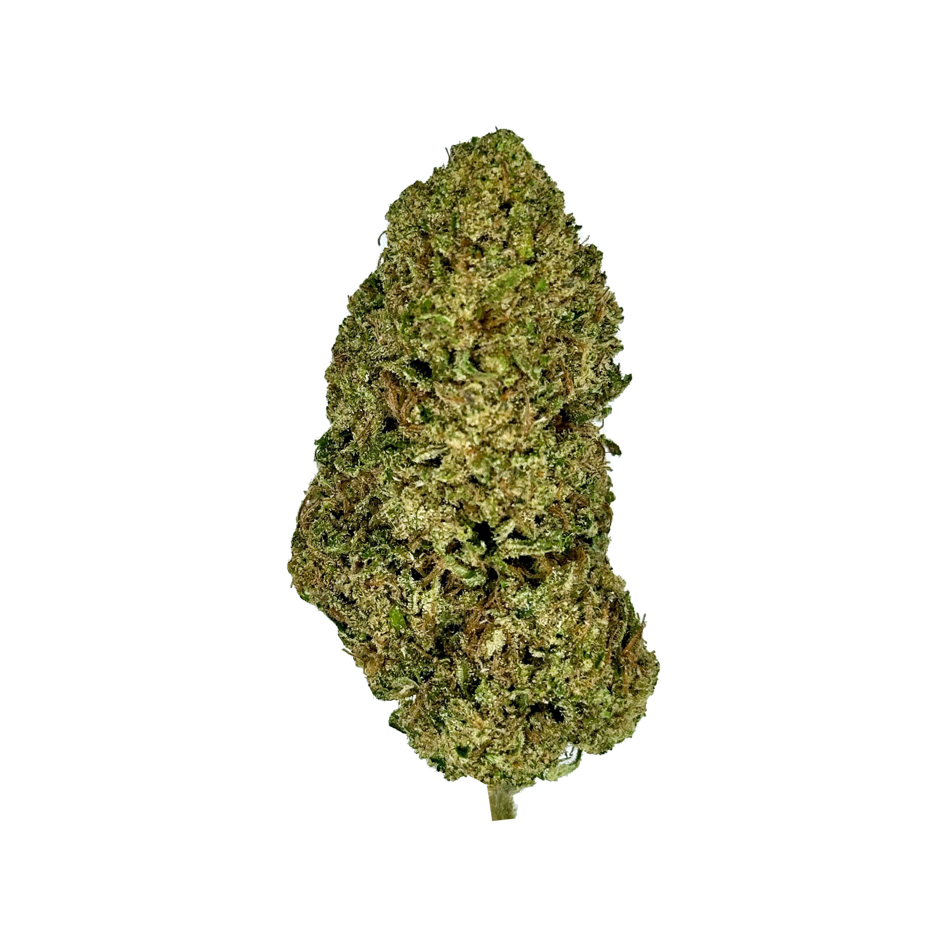 Casino Cookies CBD Hemp Flower